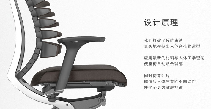 上海办公家具——D-FLY系列人体工学椅02.jpg 上海办公家具——D-FLY系列人体工学椅02.jpg