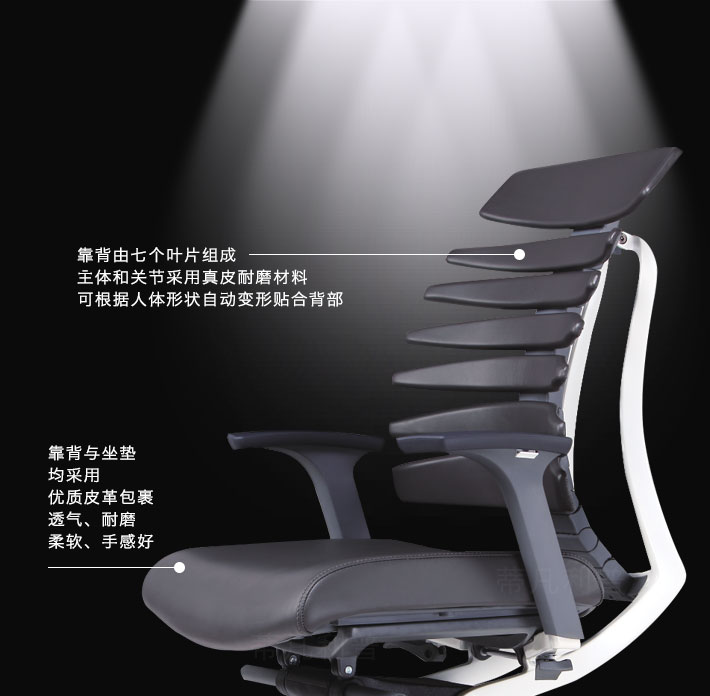 上海办公家具——D-FLY系列人体工学椅03.jpg 上海办公家具——D-FLY系列人体工学椅03.jpg